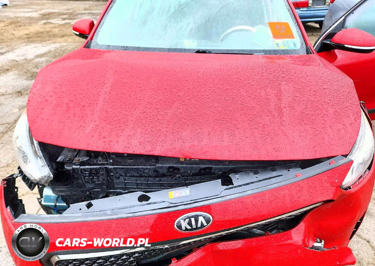 2019 Kia Niro Ex VIN:KNDCC3LC4K5220260 - 12