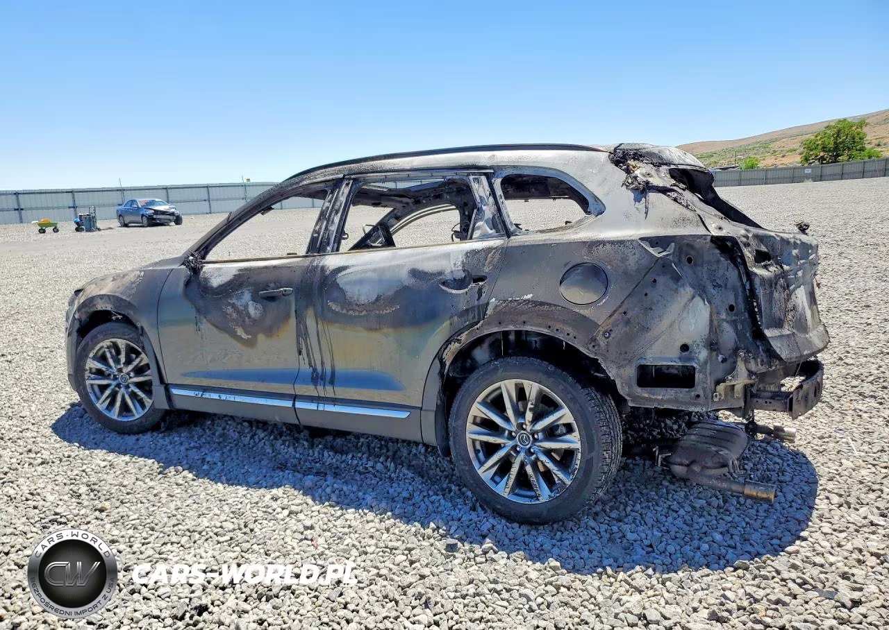 2017 Mazda Cx-9 Signature VIN:JM3TCBEY5H0141745 - 2