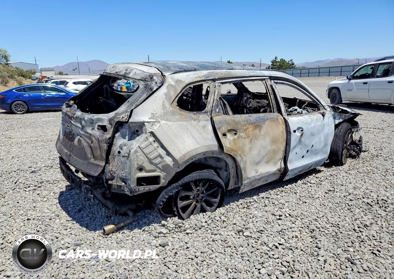 2017 Mazda Cx-9 Signature VIN:JM3TCBEY5H0141745 - 3