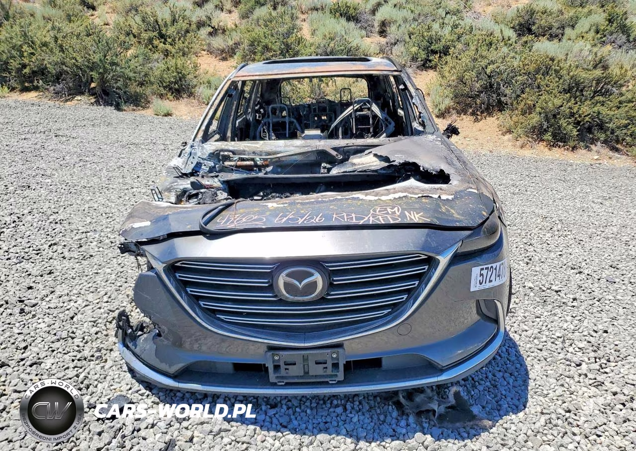 2017 Mazda Cx-9 Signature VIN:JM3TCBEY5H0141745 - 5