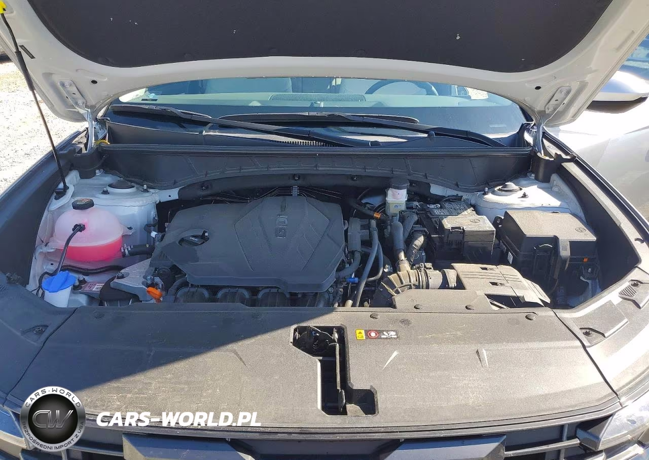 2025 Hyundai Tucson Sel VIN:5NMJBCDE5SH524494 - 11