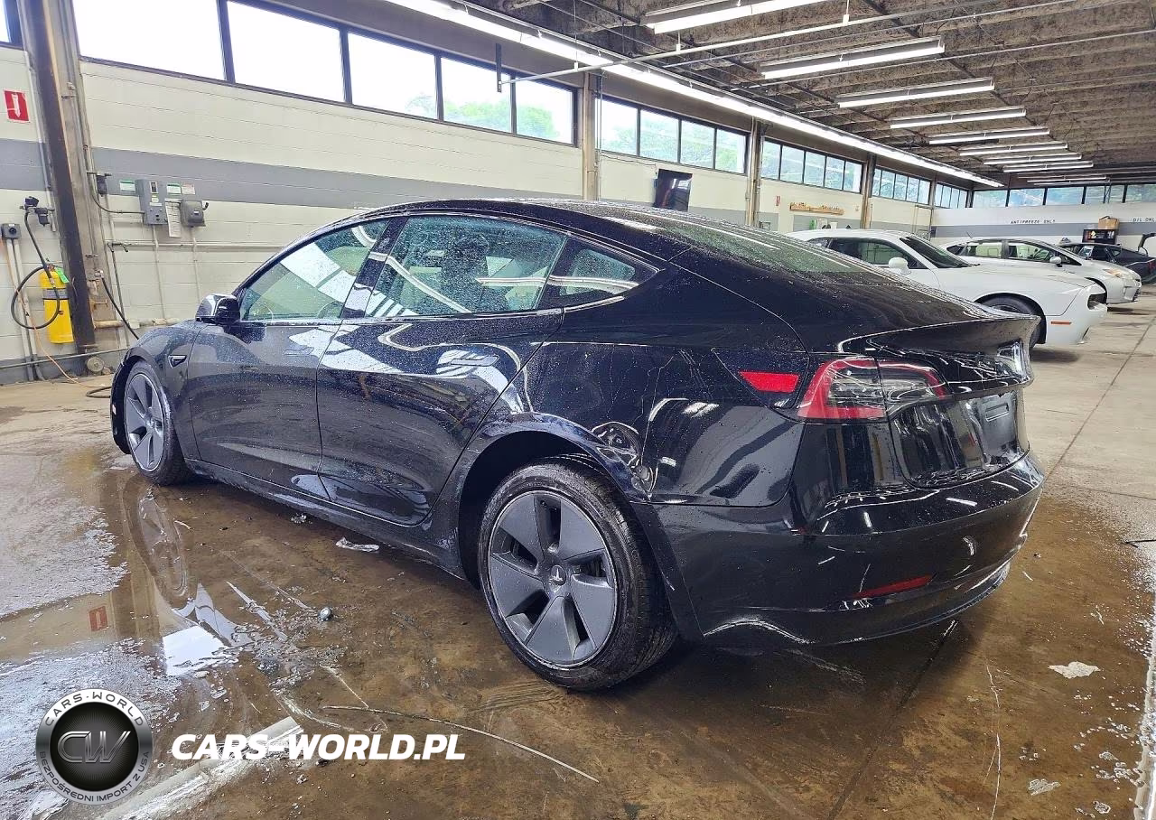 2023 Tesla Model 3 VIN:5YJ3E1EA5PF450986 - 2