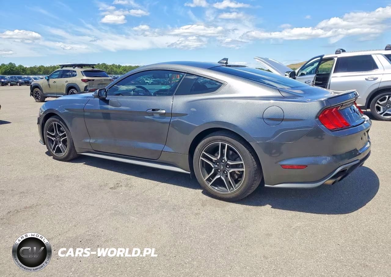 2020 Ford Mustang VIN:1FA6P8THXL5190439 - 2