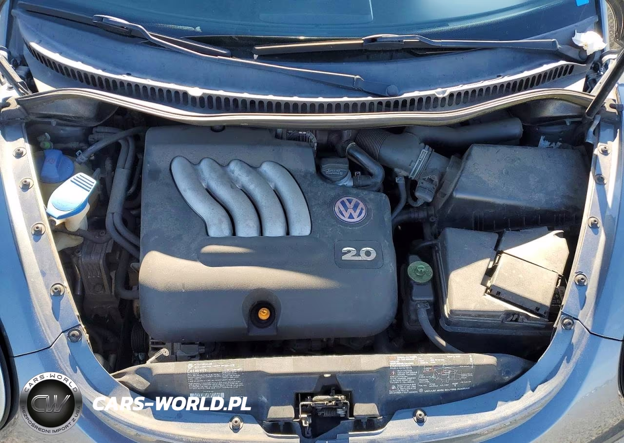 2003 Volk New Beetle 2D VIN:3VWCK21C73M422227 - 11