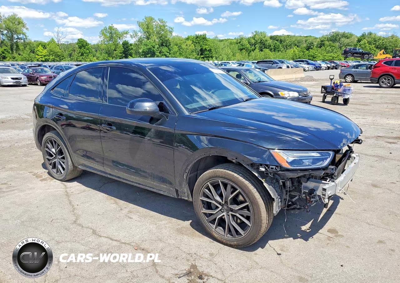 2024 Audi Sq5 Sportback Premium Plus VIN:WA124AFY1R2002660 - 4