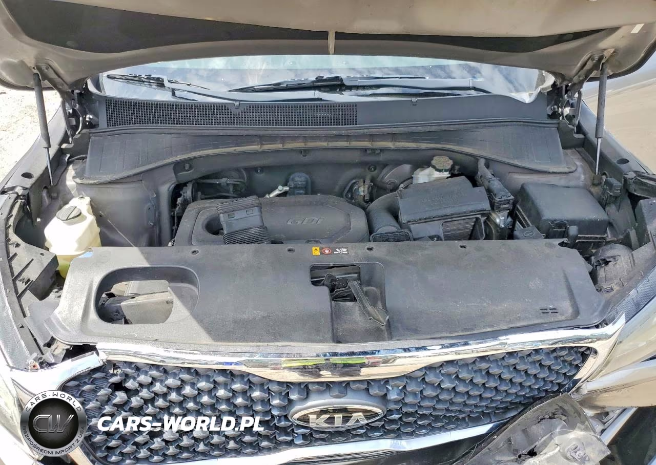 2017 Kia Sorento Lx VIN:5XYPG4A36HG258636 - 12