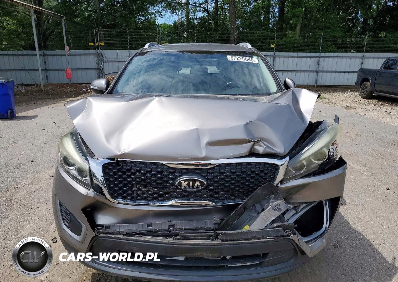 2017 Kia Sorento Lx VIN:5XYPG4A36HG258636 - 5