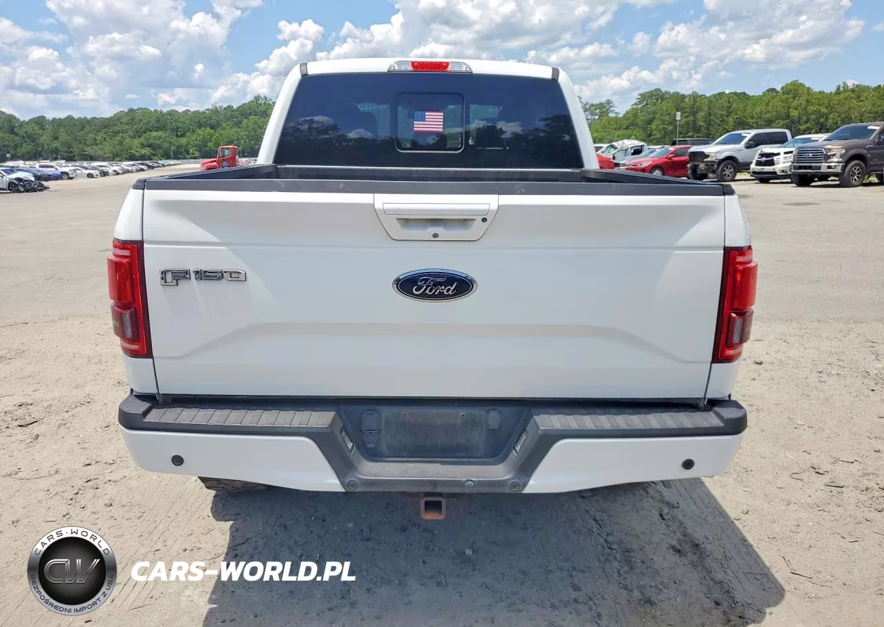 2016 Ford F150 Supercrew VIN:1FTEW1EG5GFB93267 - 6