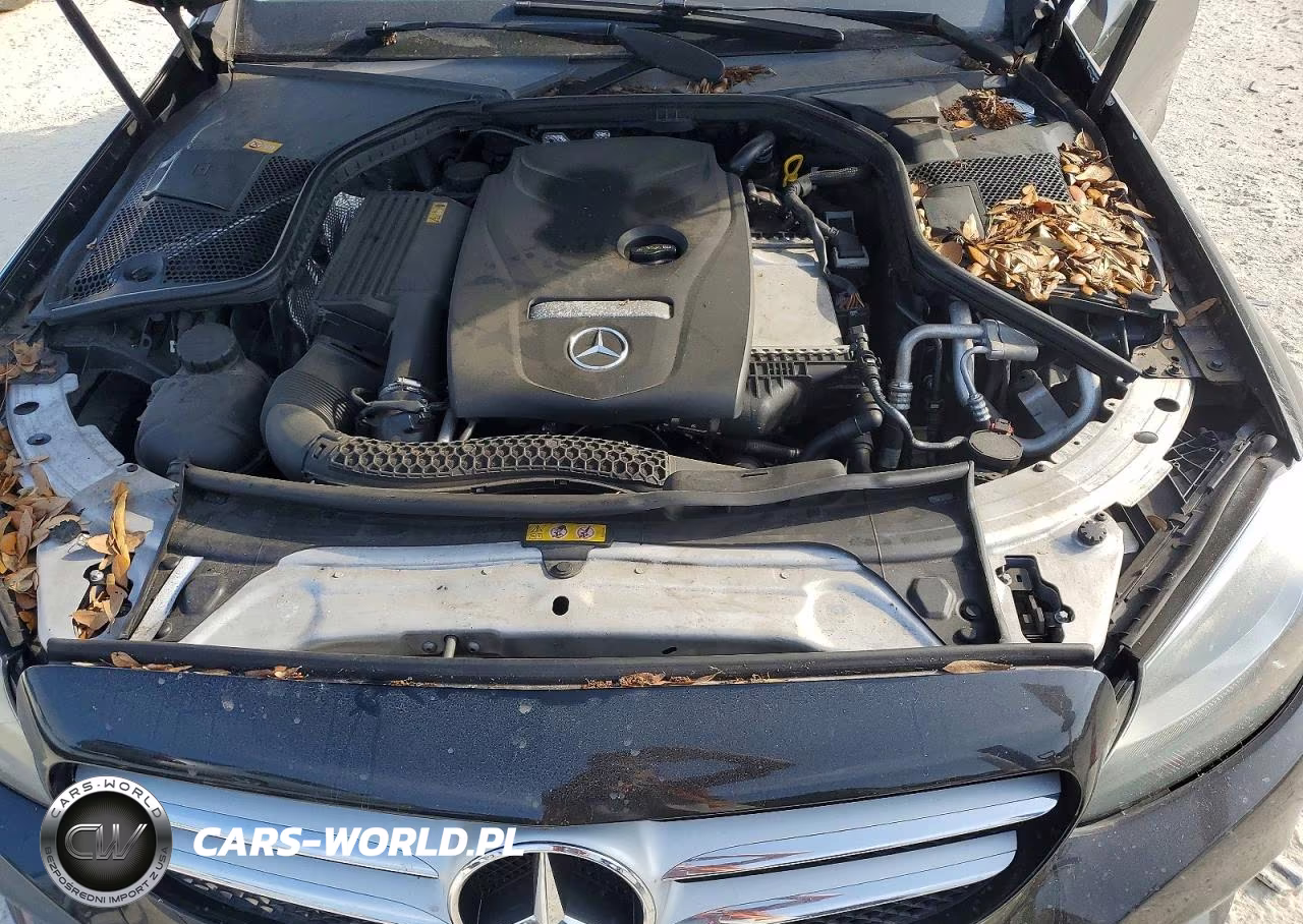 2016 Mercedes-Benz C 300 VIN:55SWF4JB8GU124804 - 11