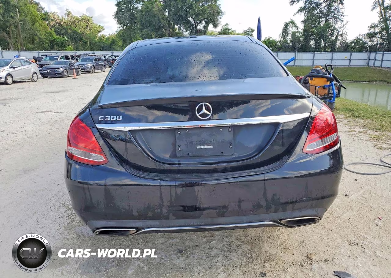 2016 Mercedes-Benz C 300 VIN:55SWF4JB8GU124804 - 6