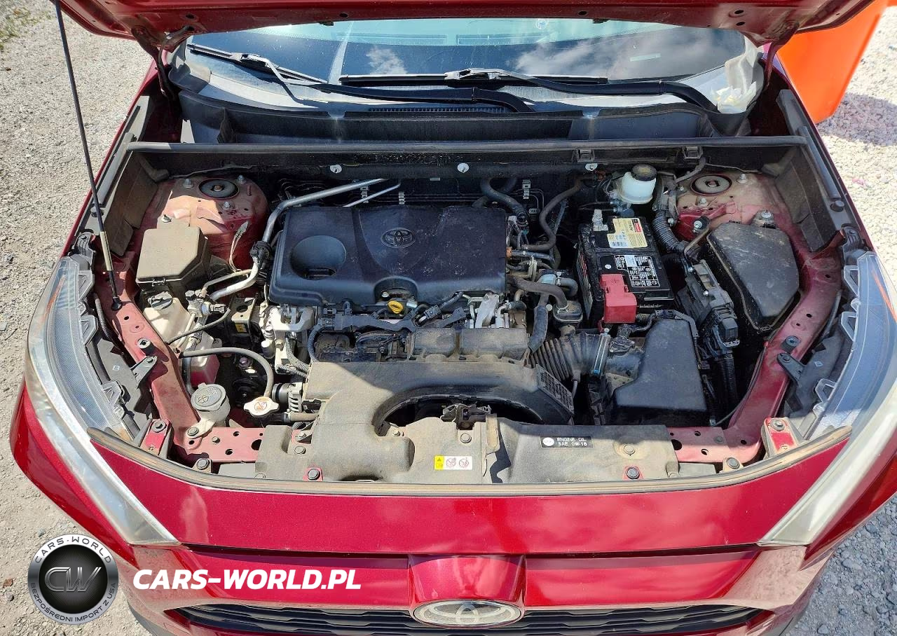 2019 Toyota Rav4 Xle VIN:JTMW1RFV3KD511860 - 12