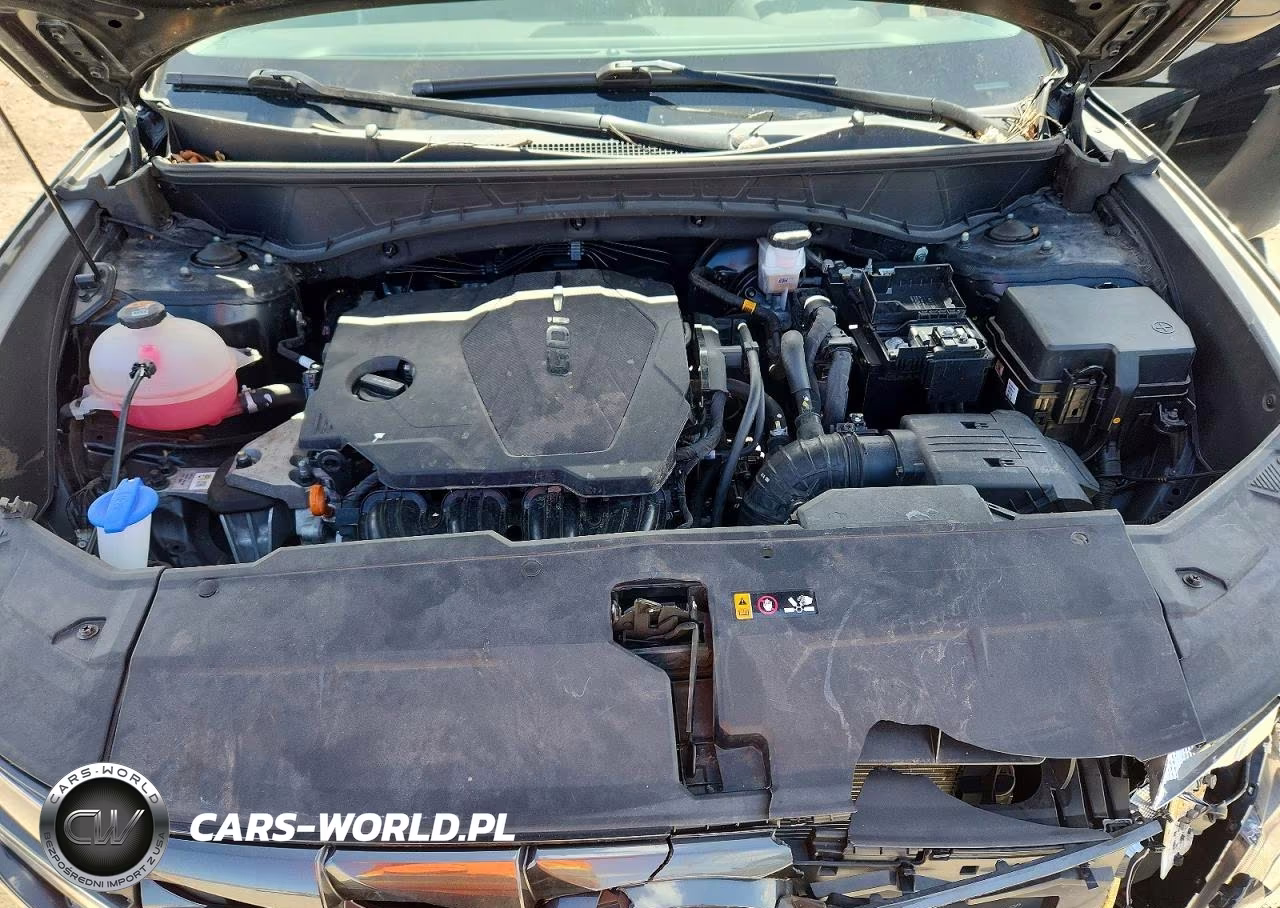 2024 Hyundai Tucson Sel VIN:5NMJB3DE3RH392913 - 12