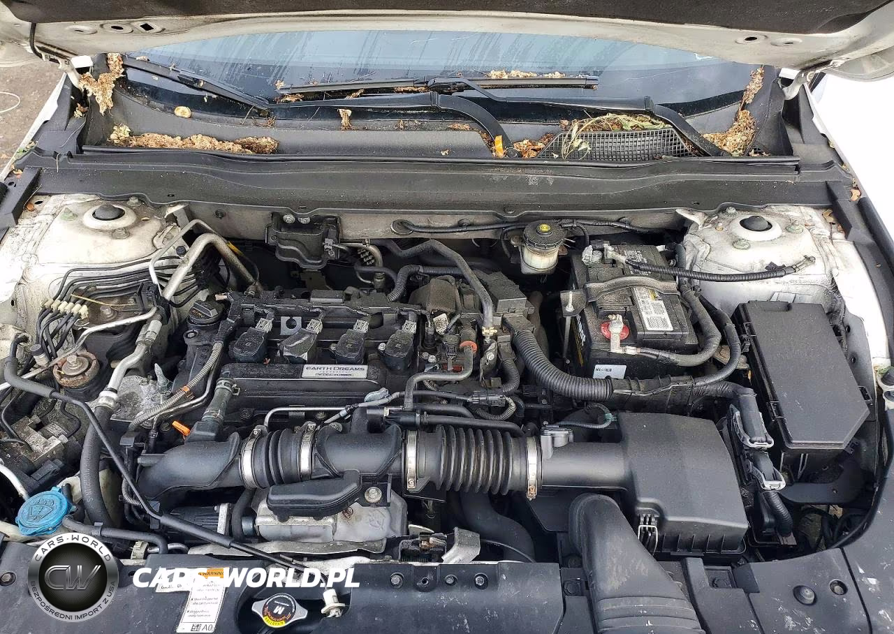 2019 Honda Accord Lx VIN:1HGCV1F14KA089655 - 11