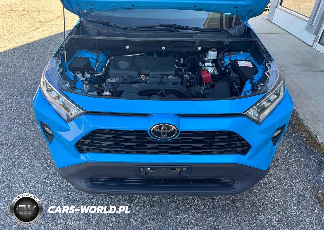 2019 Toyota Rav4 Xle VIN:2T3P1RFVXKC043442 - 7