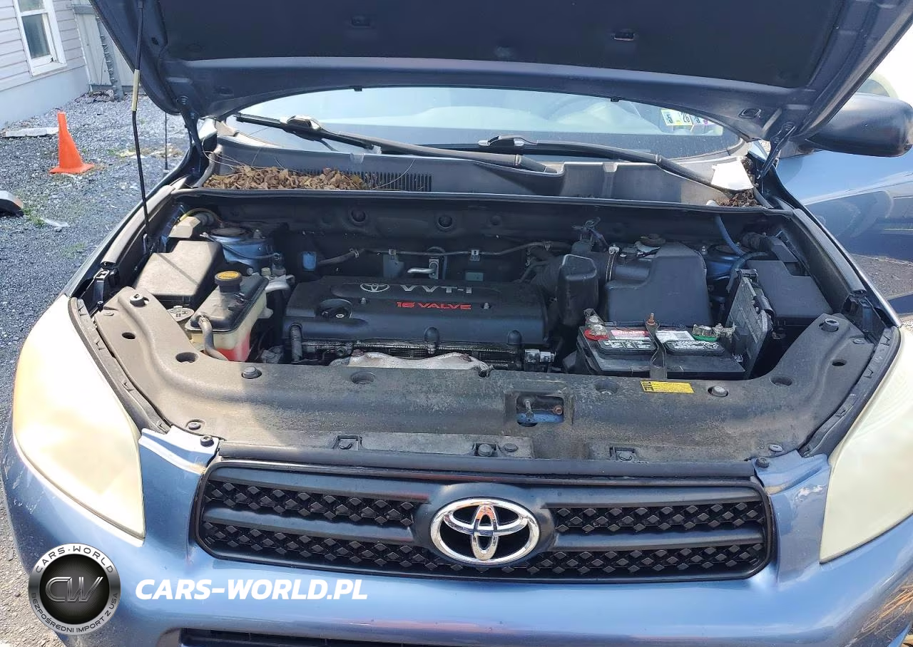 2006 Toyota Rav4 Base VIN:JTMBD33V166009334 - 12