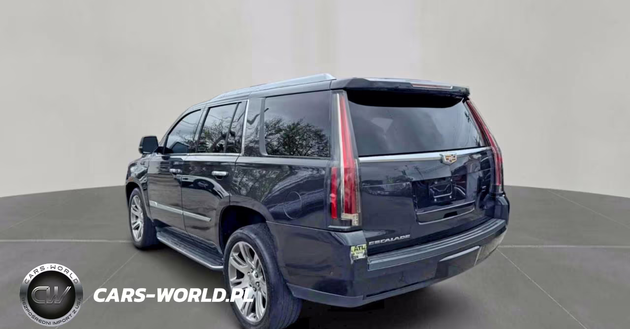 2019 Cadillac Escalade Luxury VIN:1GYS4BKJ4KR364476 - 3