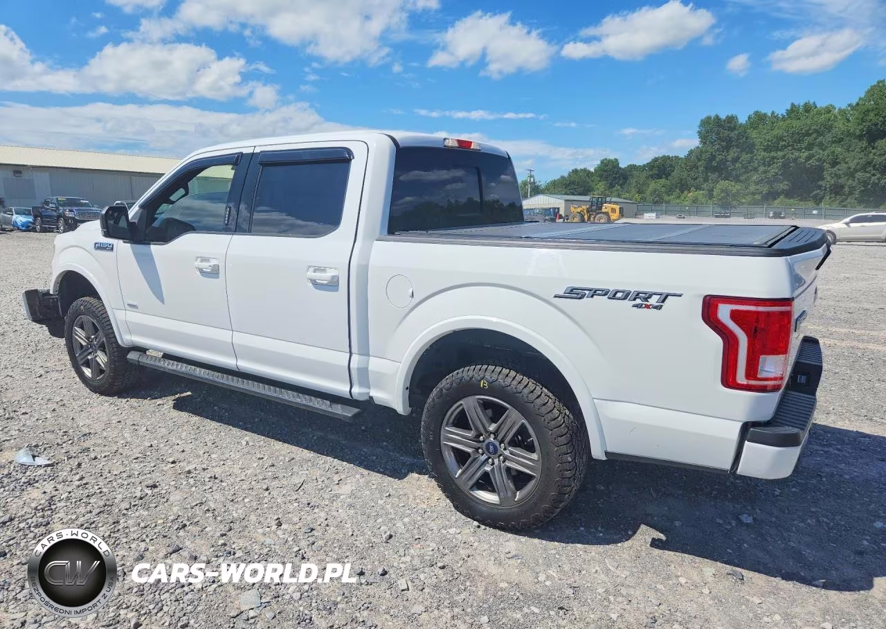 2016 Ford F150 Supercrew VIN:1FTEW1EG5GFA44681 - 2