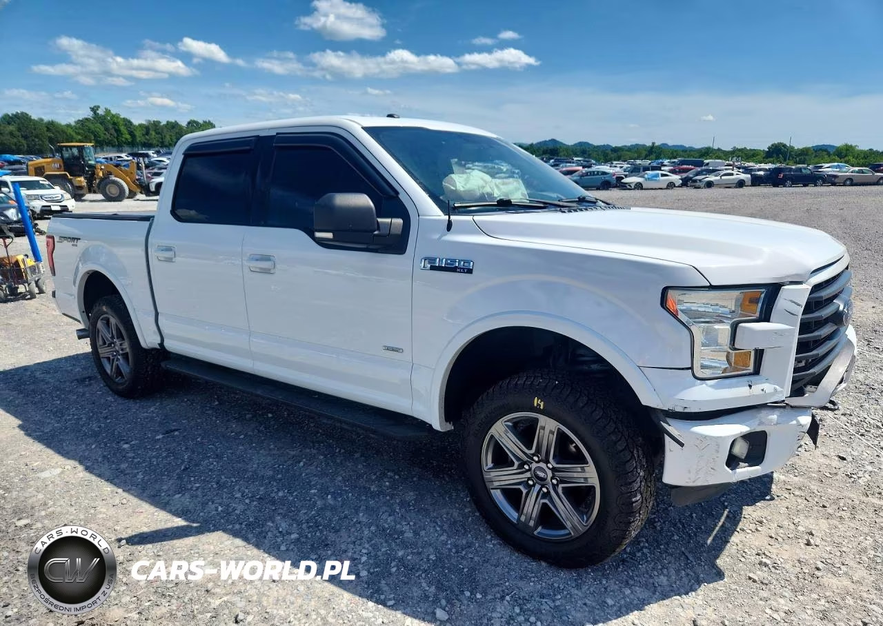 2016 Ford F150 Supercrew VIN:1FTEW1EG5GFA44681 - 4