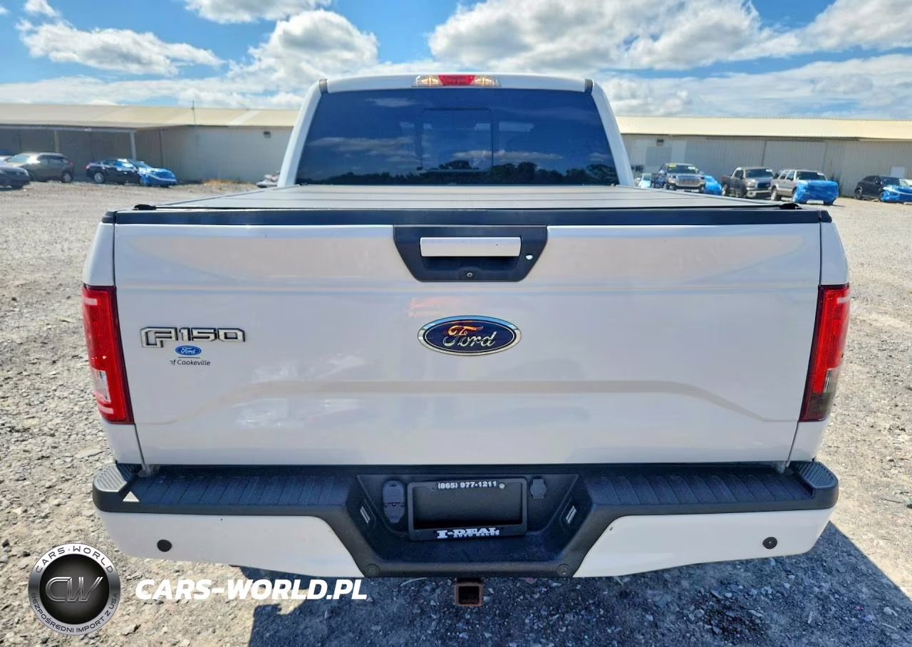 2016 Ford F150 Supercrew VIN:1FTEW1EG5GFA44681 - 6