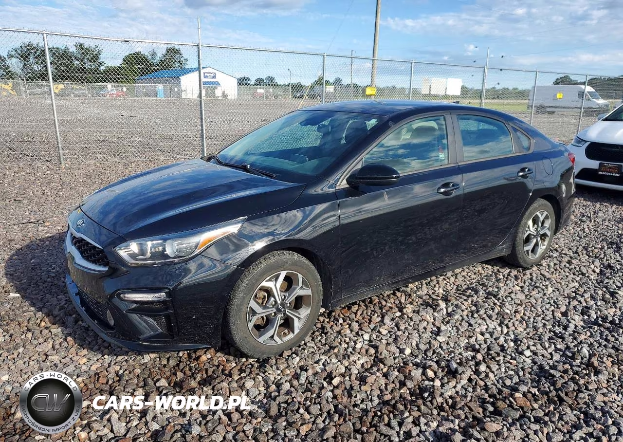 2019 Kia Forte Lxs