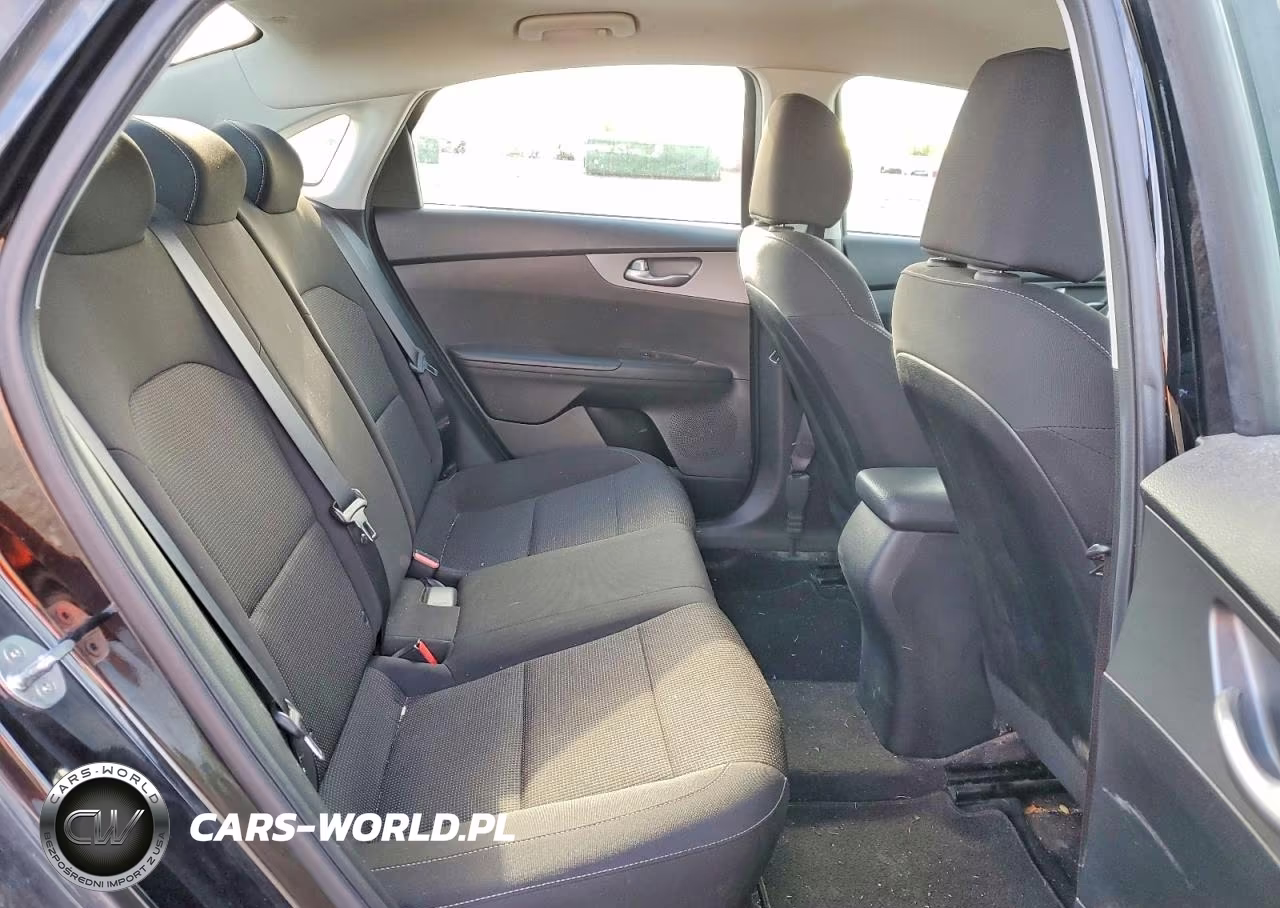 2019 Kia Forte Lxs VIN:3KPF24AD6KE135832 - 10