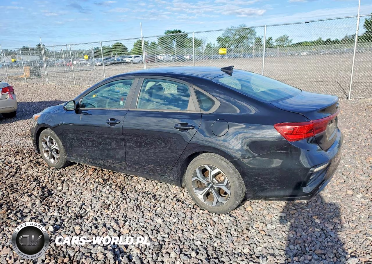 2019 Kia Forte Lxs VIN:3KPF24AD6KE135832 - 2