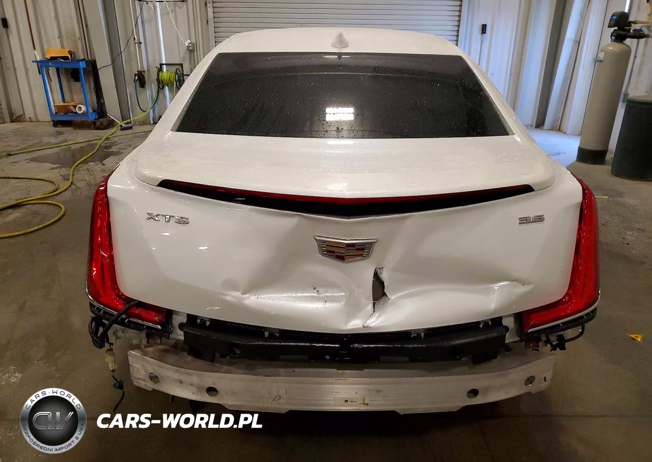2019 Cadillac Xts Luxury VIN:2G61M5S32K9128457 - 6