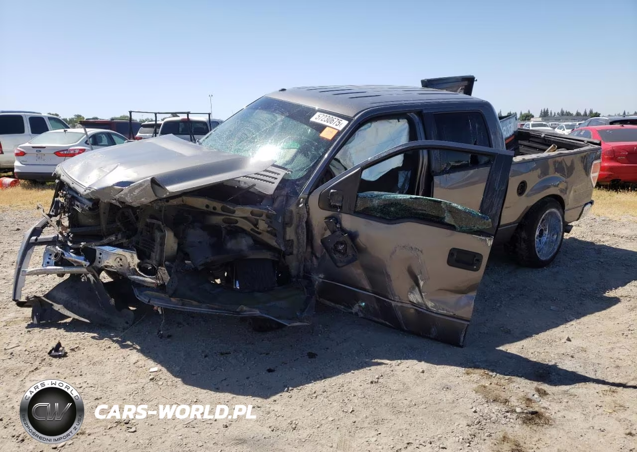 2010 Ford F150 Supercrew VIN:1FTEW1C81AFB68563 - 1