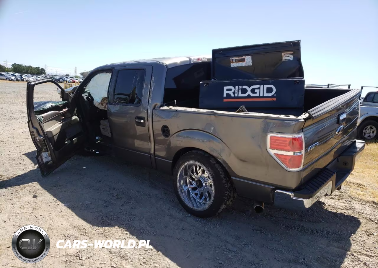 2010 Ford F150 Supercrew VIN:1FTEW1C81AFB68563 - 2