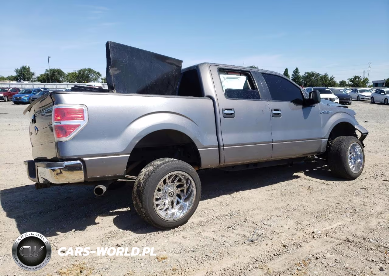 2010 Ford F150 Supercrew VIN:1FTEW1C81AFB68563 - 3