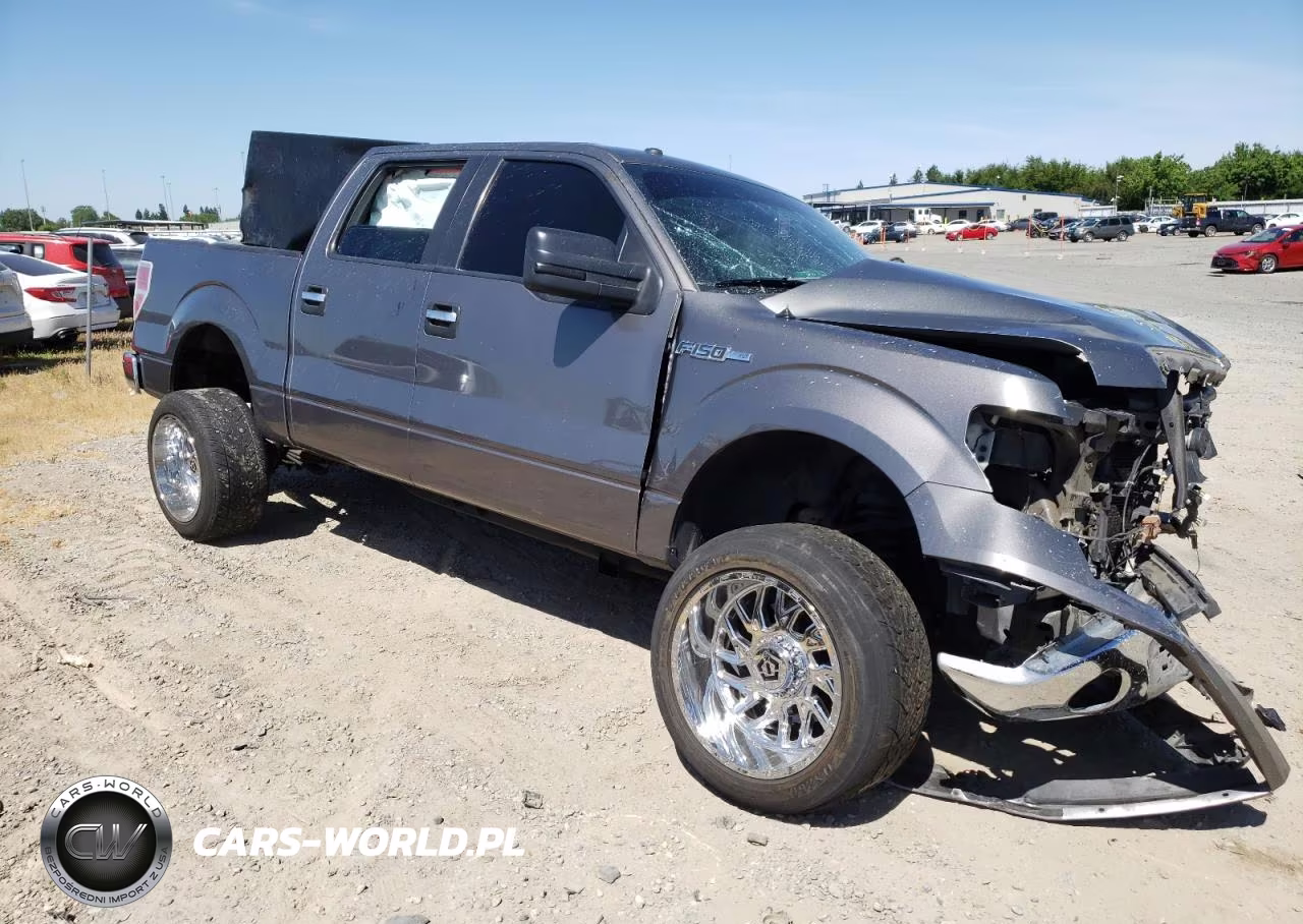 2010 Ford F150 Supercrew VIN:1FTEW1C81AFB68563 - 4