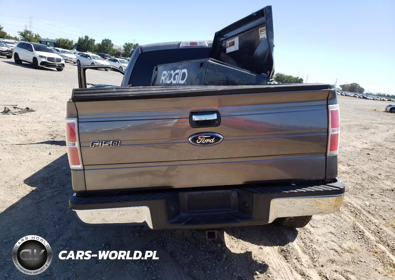 2010 Ford F150 Supercrew VIN:1FTEW1C81AFB68563 - 6