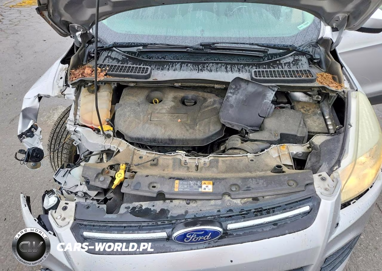 2015 Ford Escape Se VIN:1FMCU0G97FUA93098 - 12