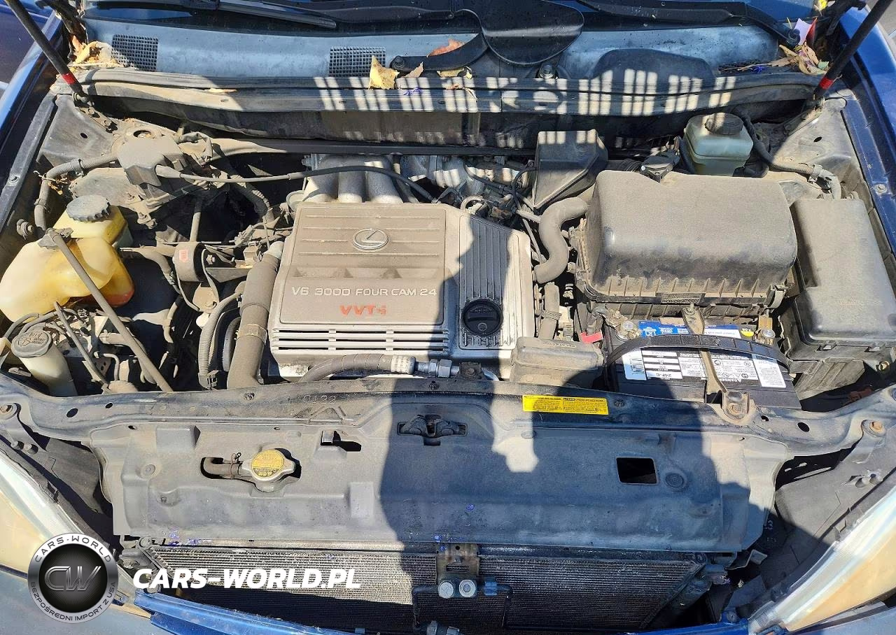 2002 Lexus Rx 300 VIN:JTJGF10U820133272 - 11