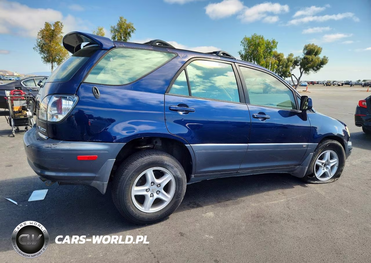 2002 Lexus Rx 300 VIN:JTJGF10U820133272 - 3