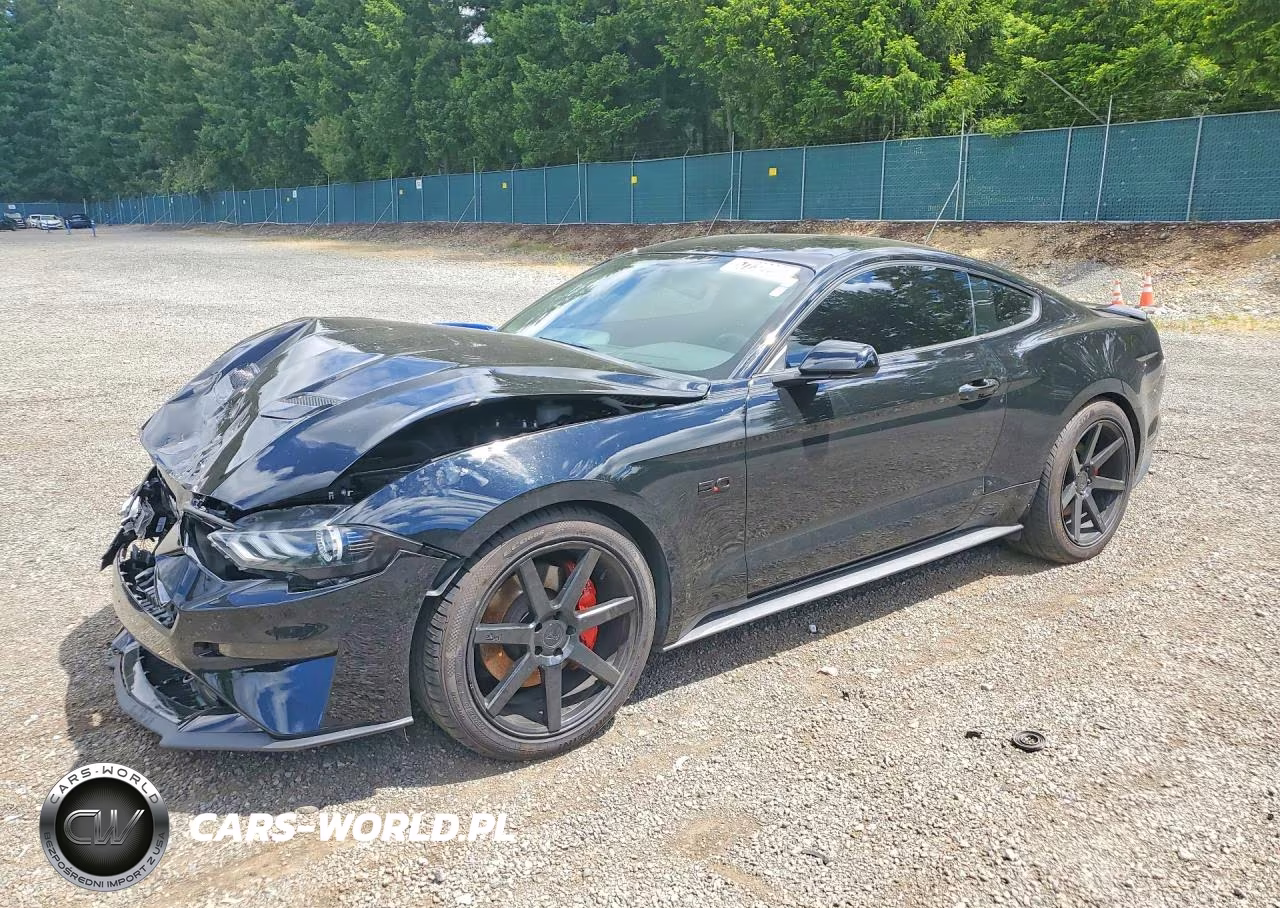 2019 Ford Mustang Gt VIN:1FA6P8CF4K5164383 - 1