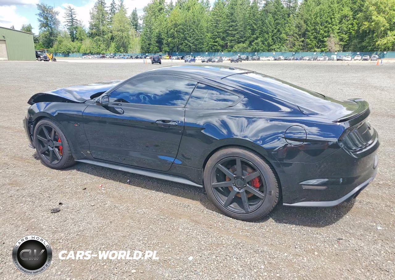 2019 Ford Mustang Gt VIN:1FA6P8CF4K5164383 - 2
