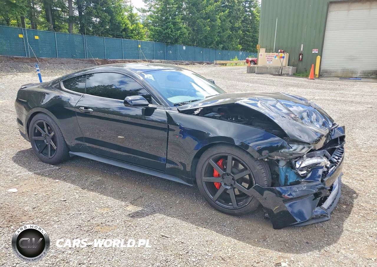 2019 Ford Mustang Gt VIN:1FA6P8CF4K5164383 - 4