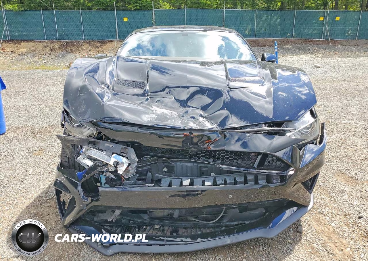 2019 Ford Mustang Gt VIN:1FA6P8CF4K5164383 - 5
