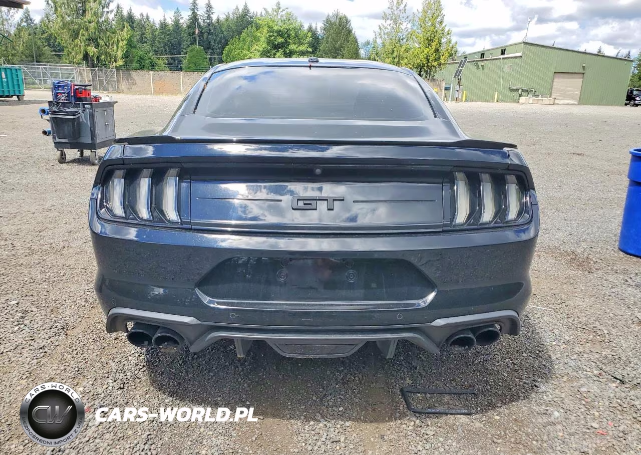 2019 Ford Mustang Gt VIN:1FA6P8CF4K5164383 - 6