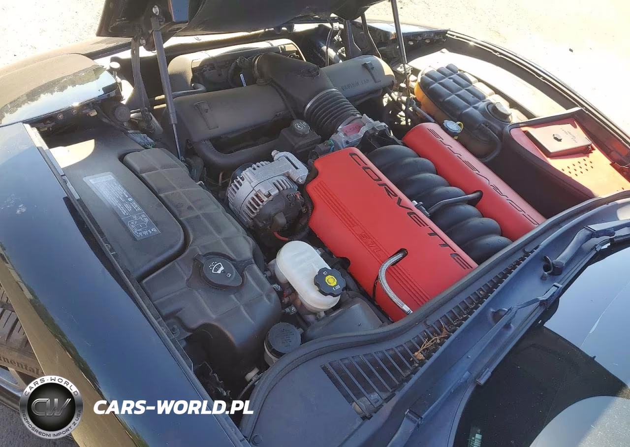 2004 Chevrolet Corvette Z06 VIN:1G1YY12S745105846 - 11
