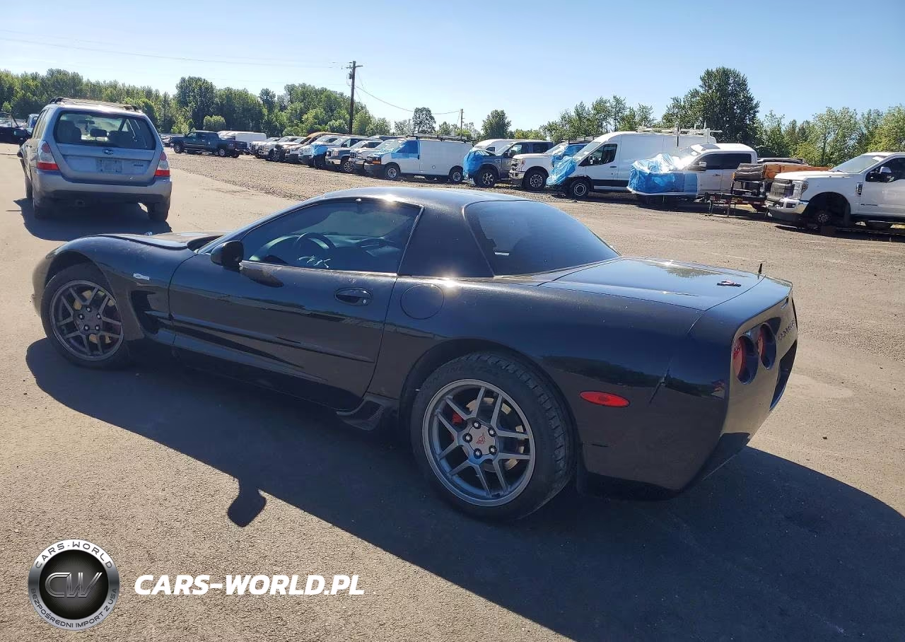 2004 Chevrolet Corvette Z06 VIN:1G1YY12S745105846 - 2