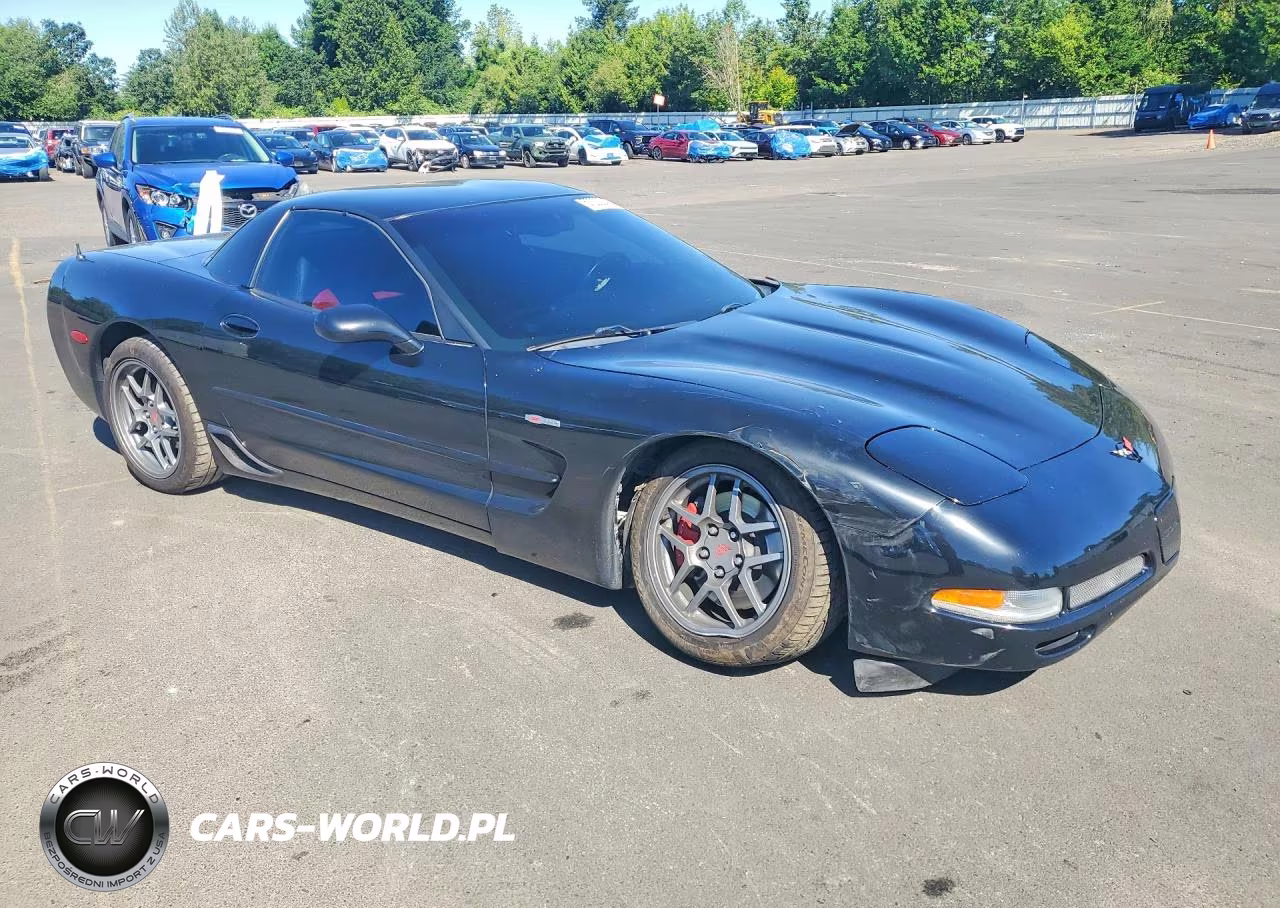 2004 Chevrolet Corvette Z06 VIN:1G1YY12S745105846 - 4