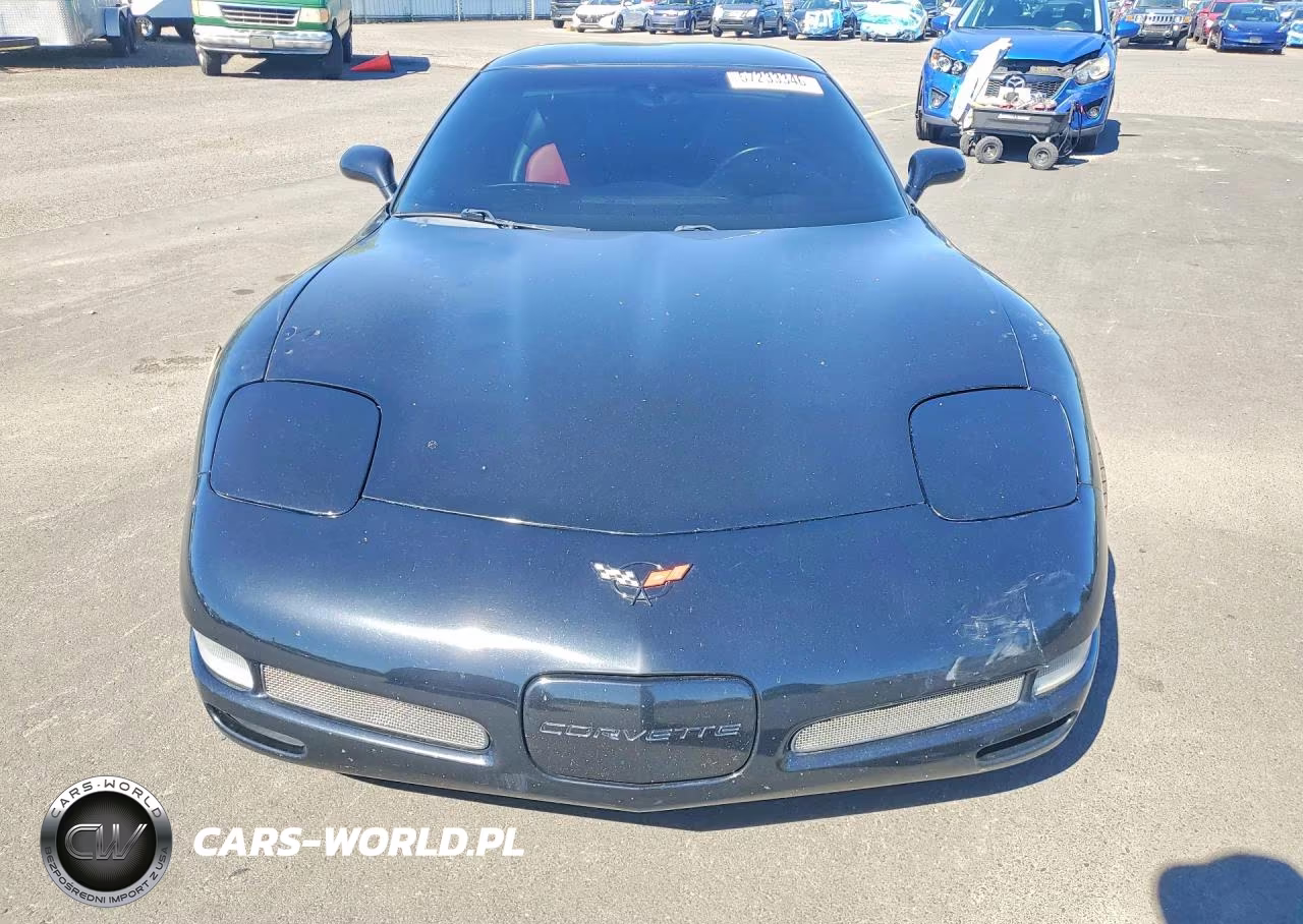 2004 Chevrolet Corvette Z06 VIN:1G1YY12S745105846 - 5