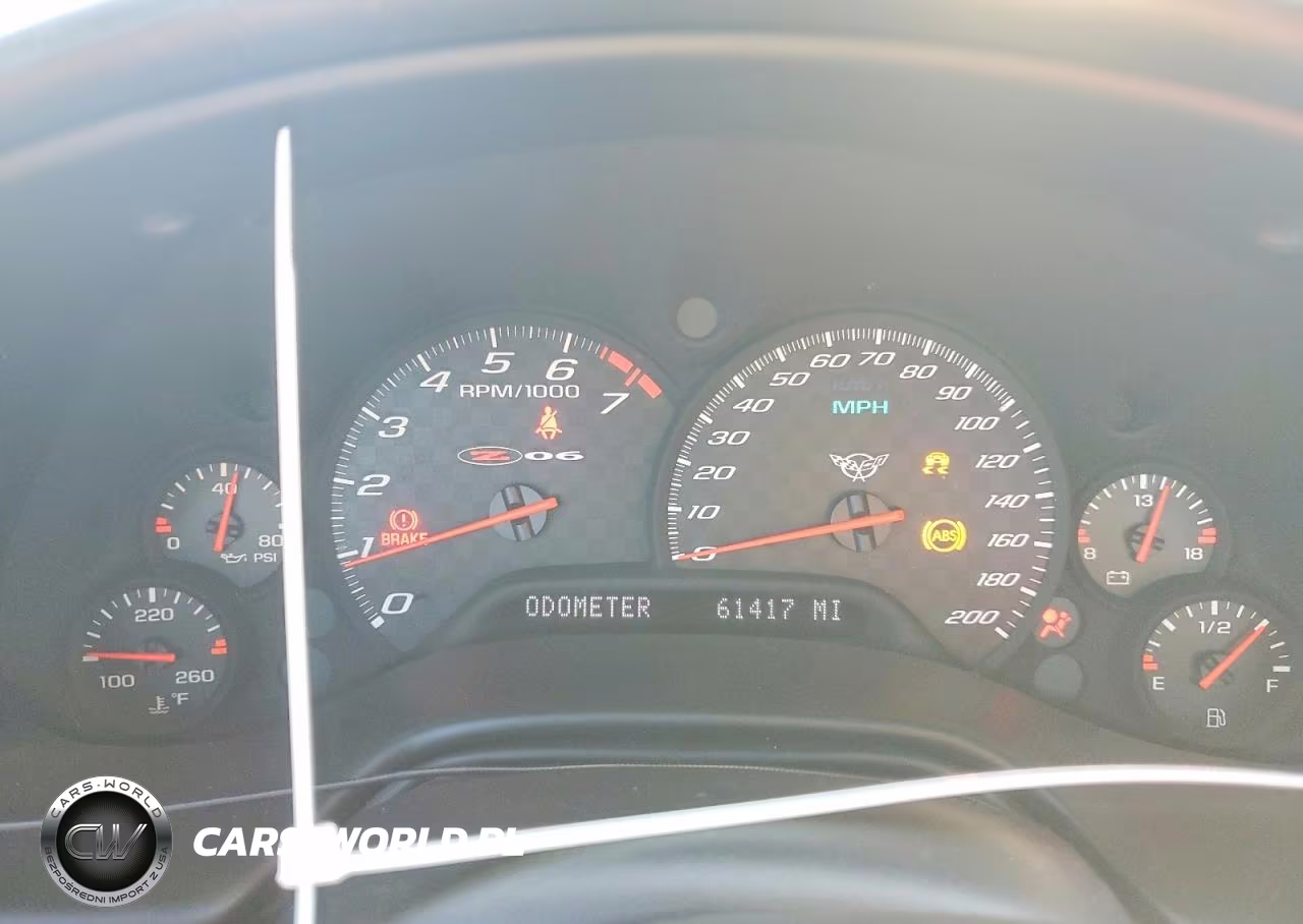 2004 Chevrolet Corvette Z06 VIN:1G1YY12S745105846 - 9