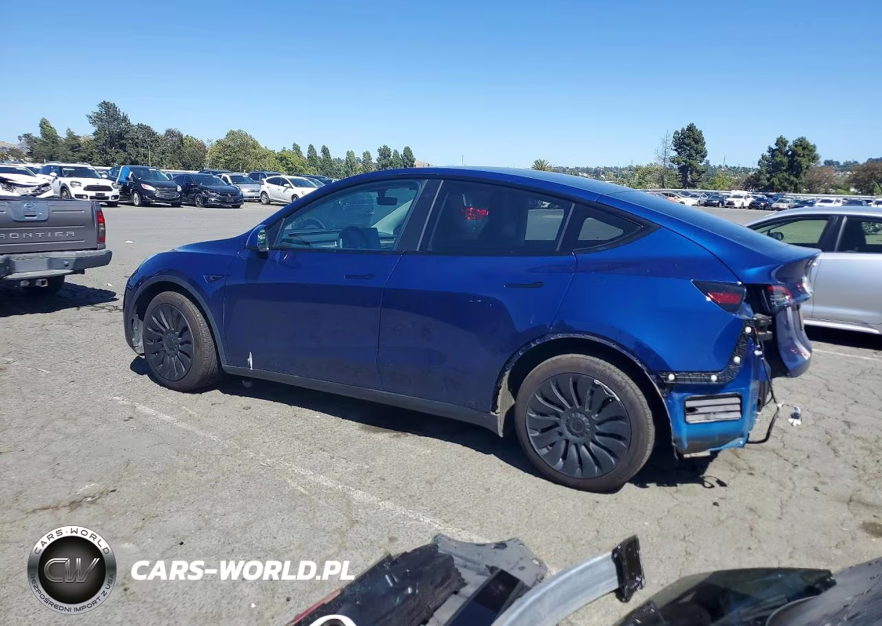 2022 Tesla Model Y VIN:7SAYGDEE6NF344891 - 2