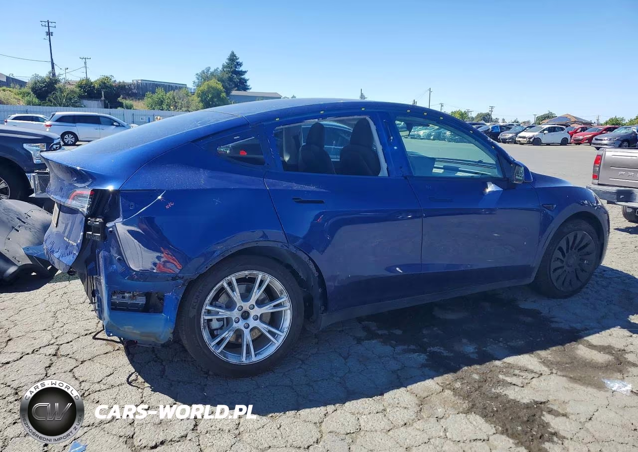 2022 Tesla Model Y VIN:7SAYGDEE6NF344891 - 3
