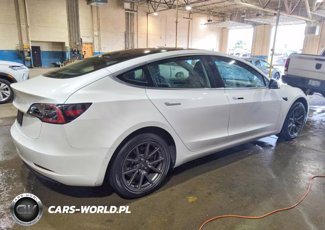 2020 Tesla Model 3 VIN:5YJ3E1EAXLF644830 - 3