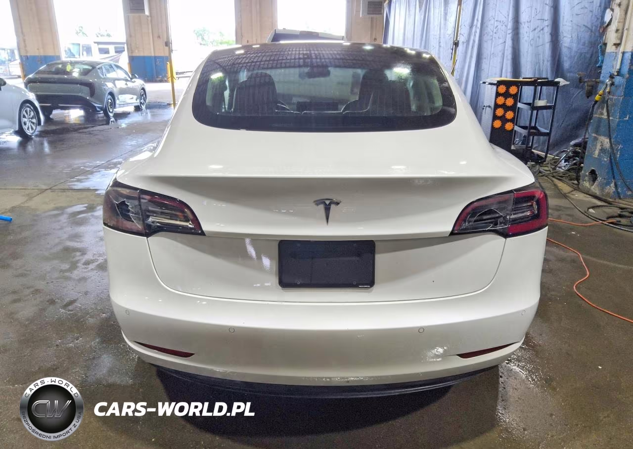 2020 Tesla Model 3 VIN:5YJ3E1EAXLF644830 - 6