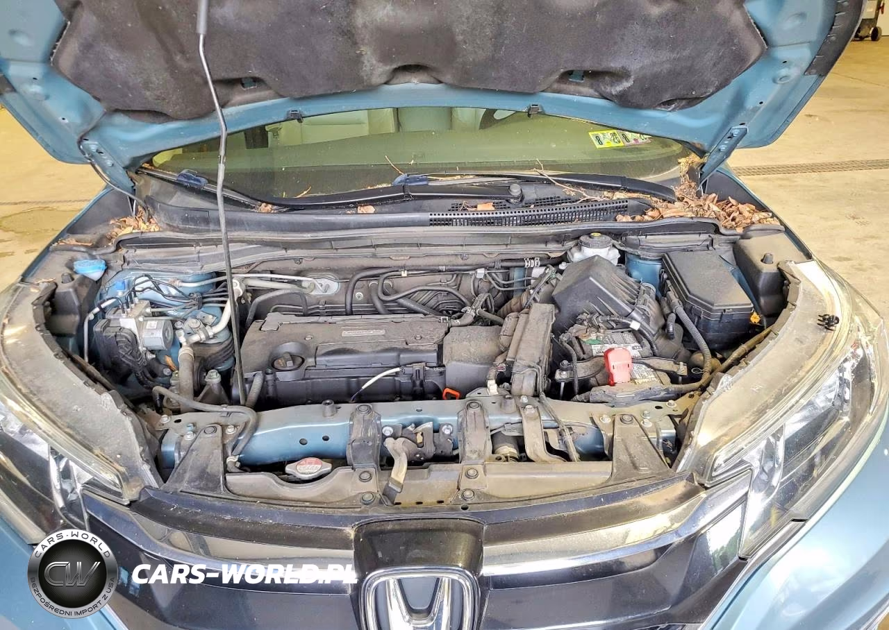2016 Honda Cr-V Exl VIN:2HKRM3H72GH561666 - 12